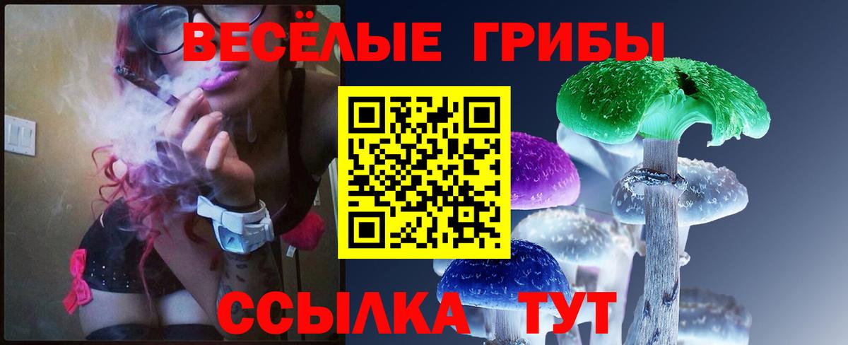 Отрадное  Галлюциногенные грибы Magic Shrooms  Вход с VPN 